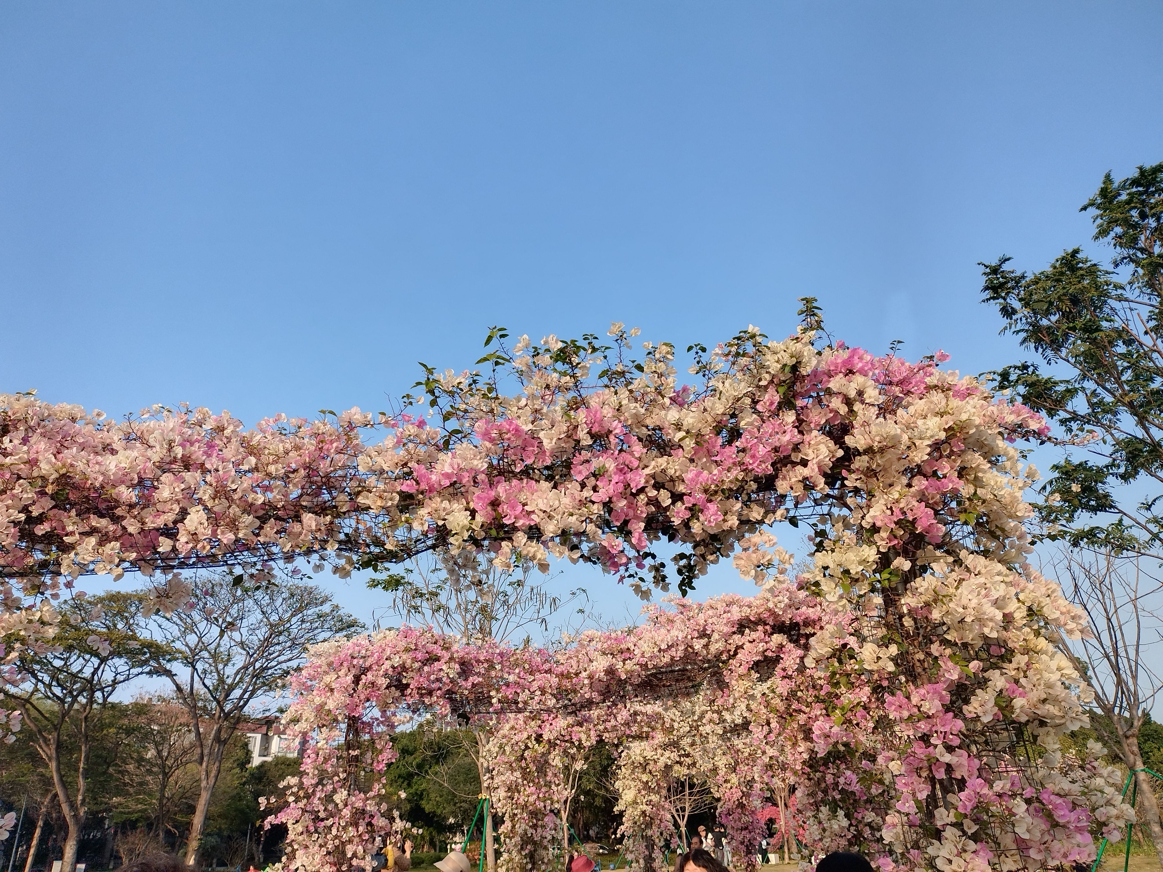 NO.2231【装修日记大赛】第二次装修，回炉重造