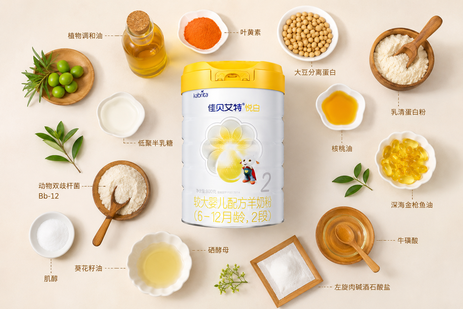 俯視視角，畫面中央是奶粉罐，四周整齊地排列著配料表里的天然提取物素材，如小瓶裝的植物調(diào)和油、乳清蛋白粉堆、深海金槍魚油膠囊等。風(fēng)格干凈、清晰，有原生態(tài)健康食品的視覺感。