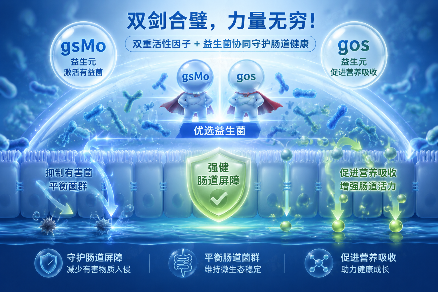 科学微观视角的肠道益生菌插画，展现有益菌和双重活性因子保护肠道屏障，科技感发光效果，蓝色和绿色主色调，体现营养吸收和肠道强健，专业医疗健康插画。