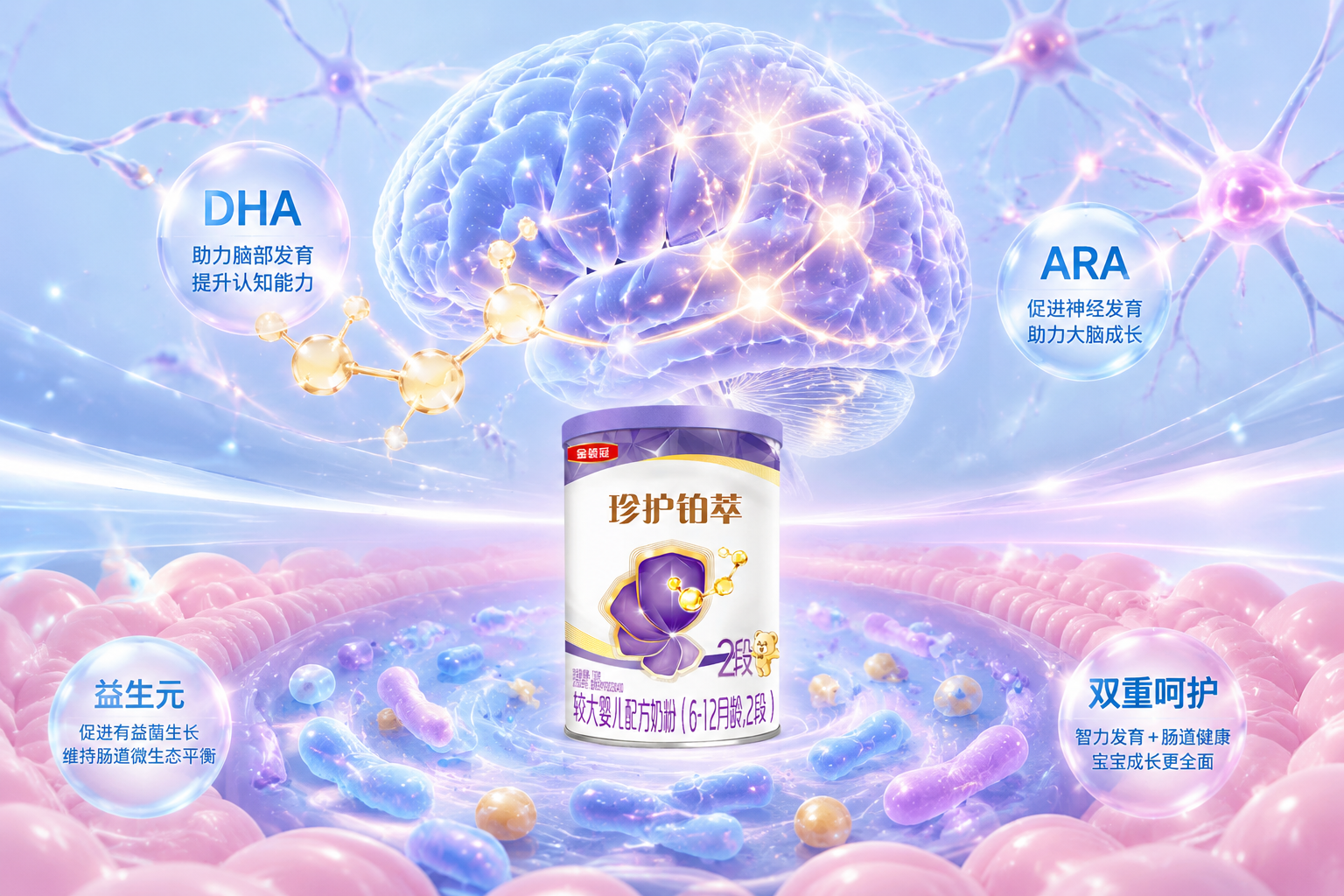 抽象的大腦神經(jīng)元閃爍著光芒，下方是健康的腸道微生態(tài)環(huán)境的微觀視角，代表著DHA、ARA、益生元等特色營(yíng)養(yǎng)對(duì)寶寶智力與腸道的雙重呵護(hù)，柔和的藍(lán)粉色調(diào)。