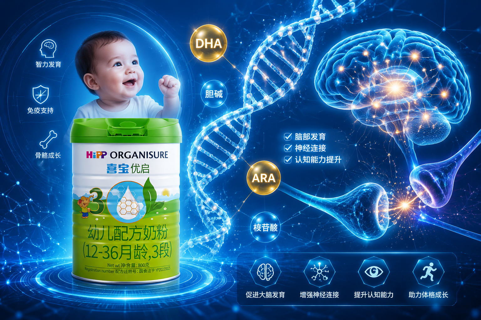 充滿未來科技感的藍(lán)色背景下，發(fā)光的DNA雙螺旋結(jié)構(gòu)和大腦神經(jīng)突觸相互連接，象征著DHA、膽堿等高級強(qiáng)化營養(yǎng)對寶寶智力和體格的發(fā)育支持。