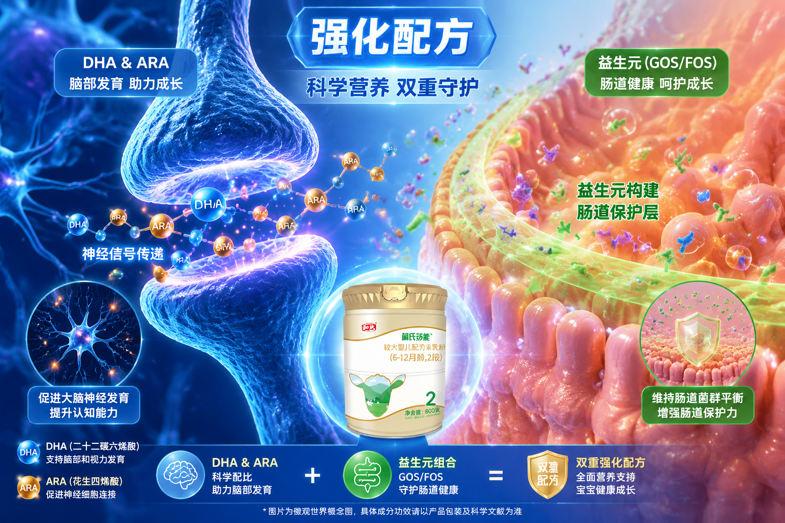 顯微鏡下的微觀世界概念圖，展示DHA和ARA分子在神經(jīng)元之間傳遞信號，以及益生元在腸道壁上構(gòu)建保護層的生動畫面，色彩鮮明，突出“強化配方”的科學感。