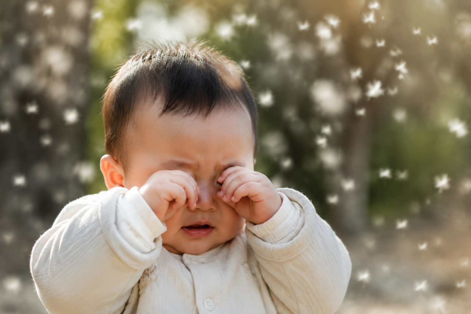 An extremely cute Chinese baby (about 8 months old) rubbing their red eyes with little hands, looking slightly uncomfortable. The background is a soft-focus spring outdoor scene with blurred white willow catkins flying in the dry wind. Sunlight filtering through trees, soft cinematic lighting, ultra-realistic, 8k resolution, photography by Canon EOS R5, photorealistic. --ar 3:4