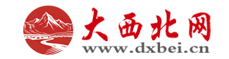 大西北网 Logo