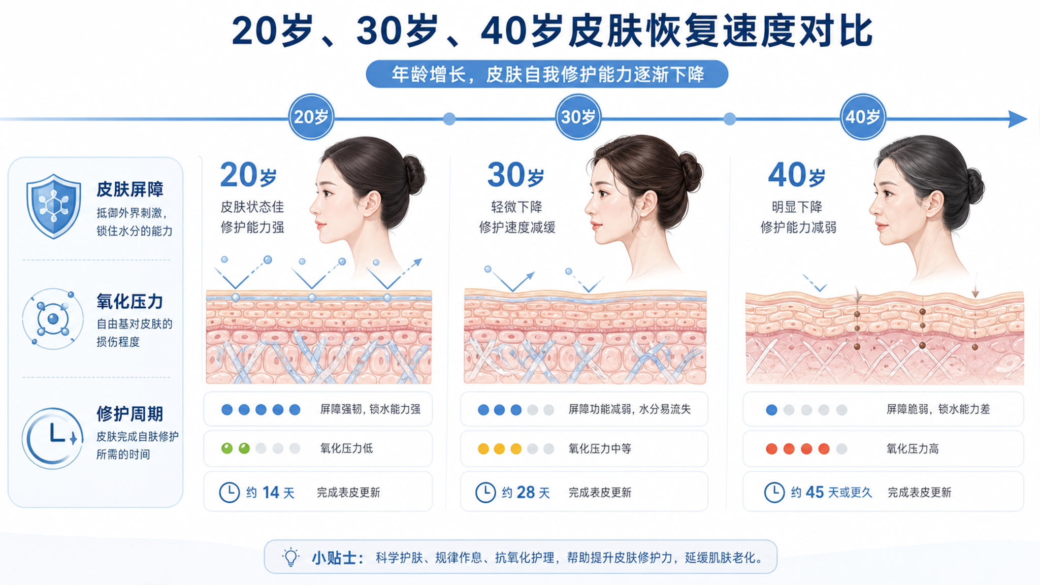 30岁后皮肤恢复变慢的真相：不是你变懒，是皮肤更怕氧化了