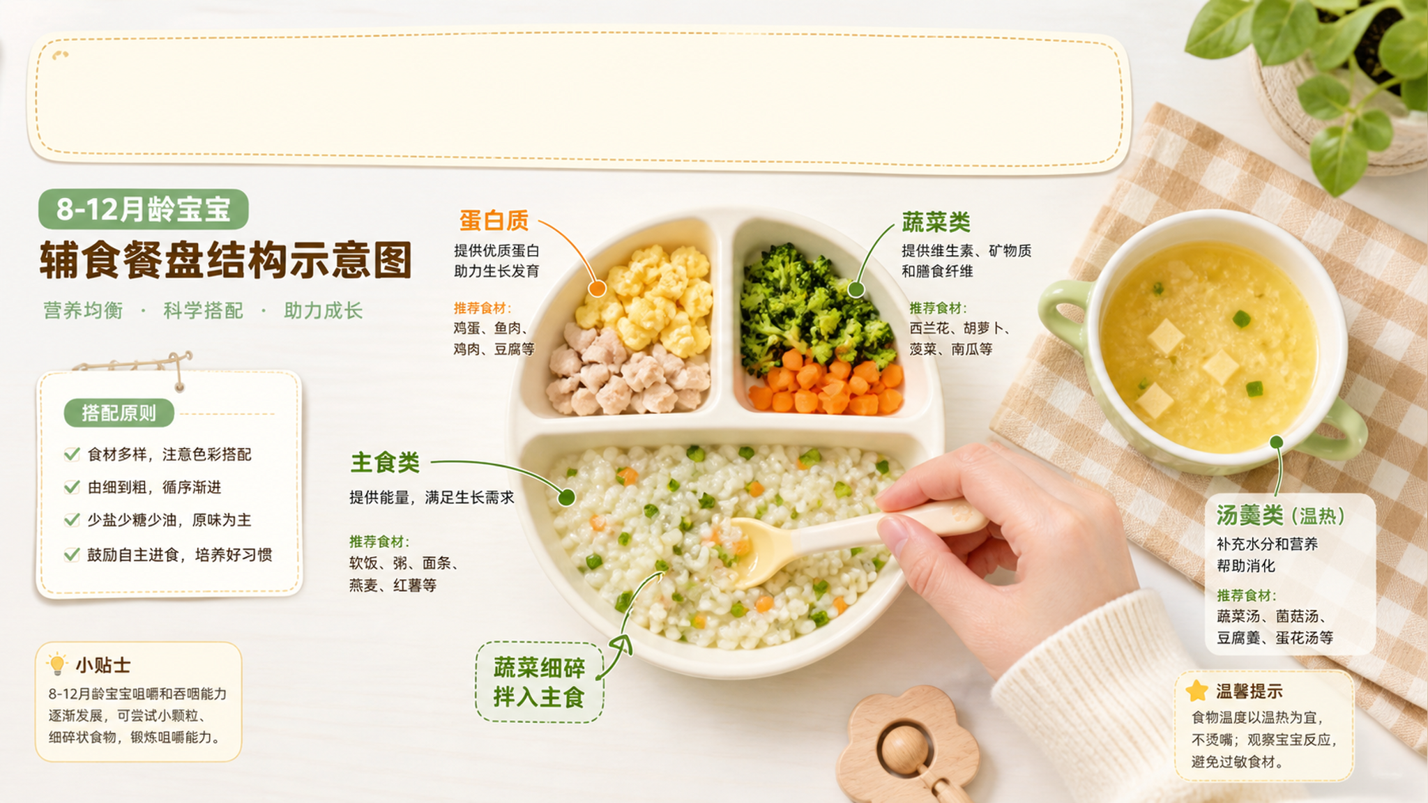 科普长图风格插画，一张8-12月龄宝宝辅食餐盘结构示意图，中国家庭餐桌场景，画面上方为标题区域（不含