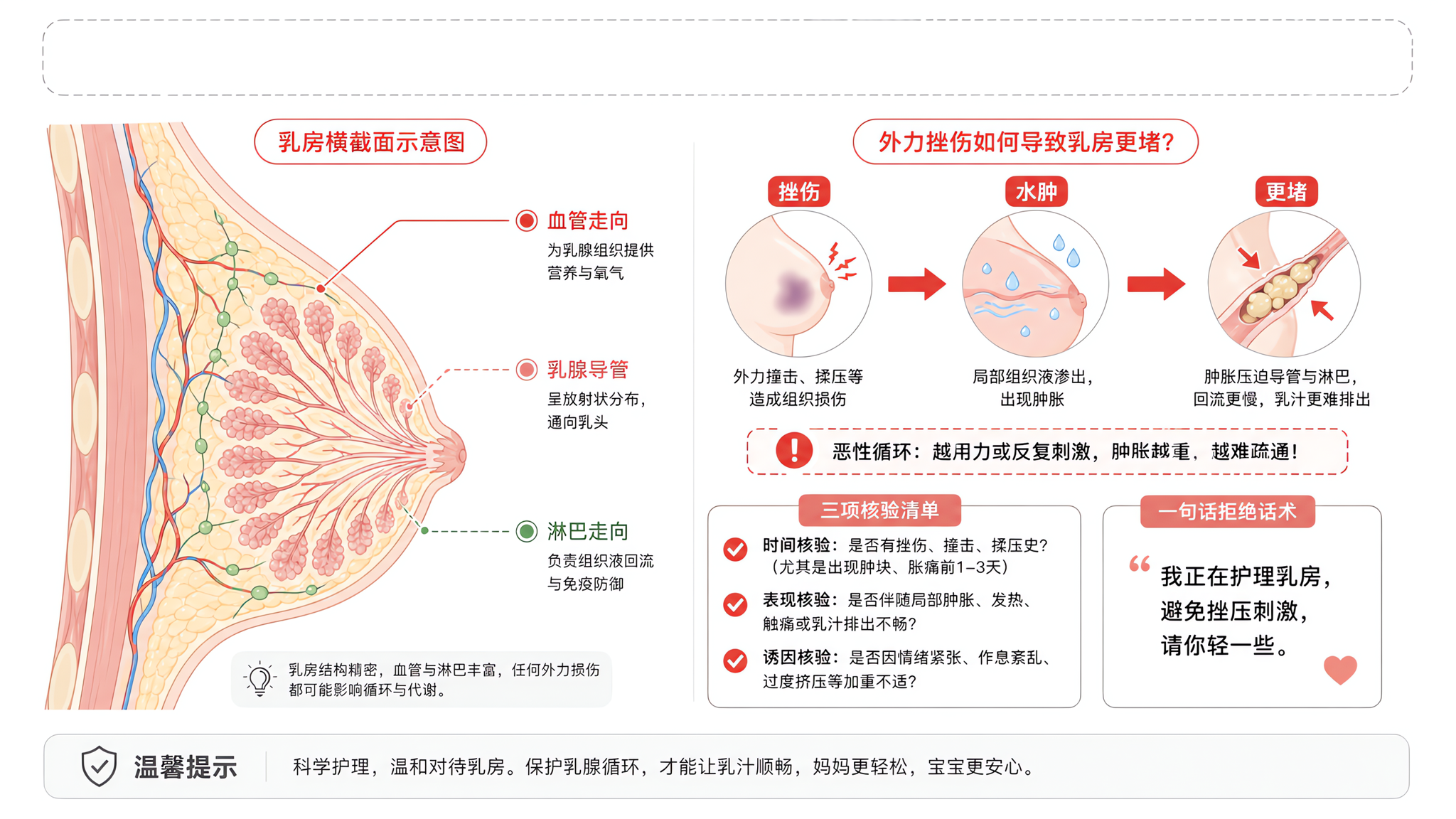 通乳别再硬揉：越疼越堵的真相和拒绝话术