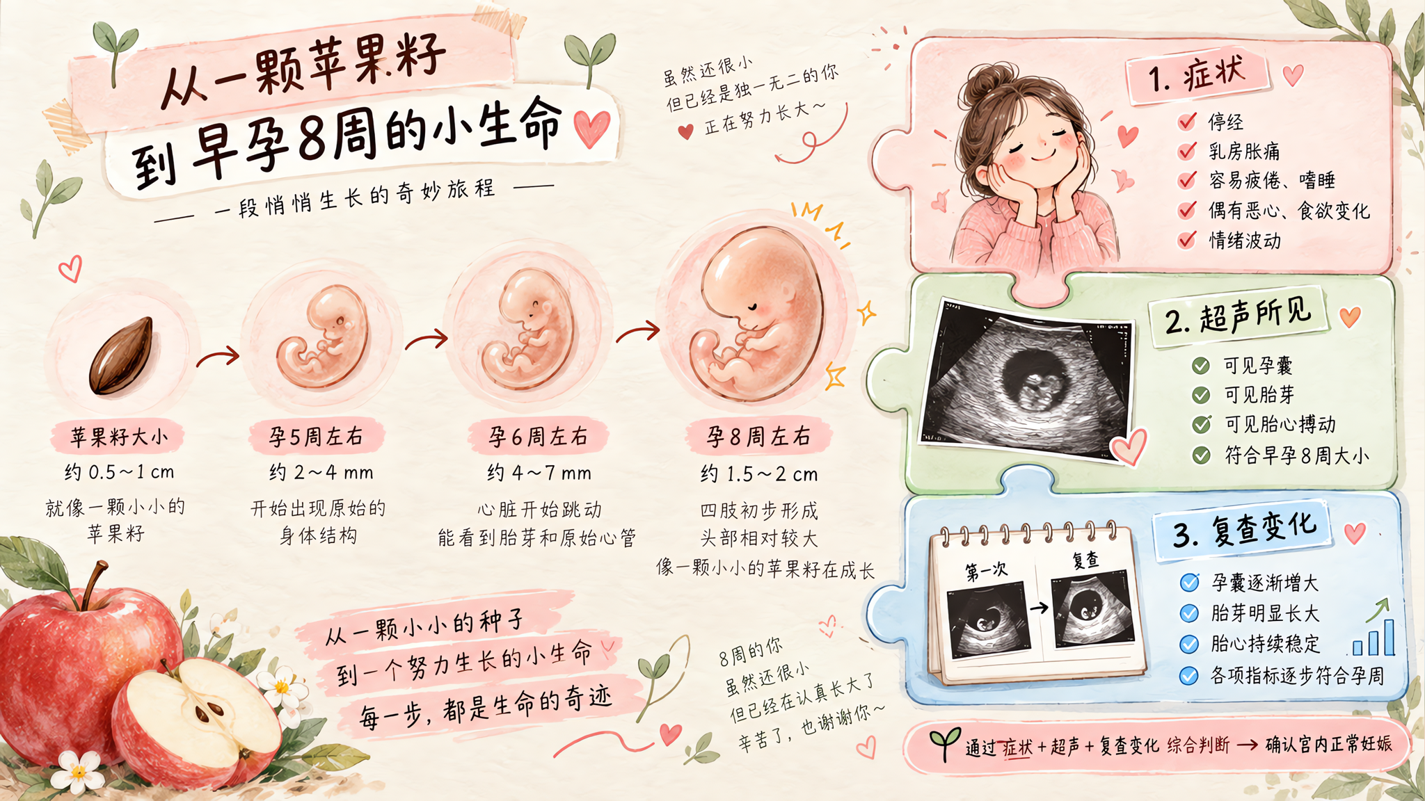 孕8周别被化验单牵着走：HCG孕酮和超声要合在一起看