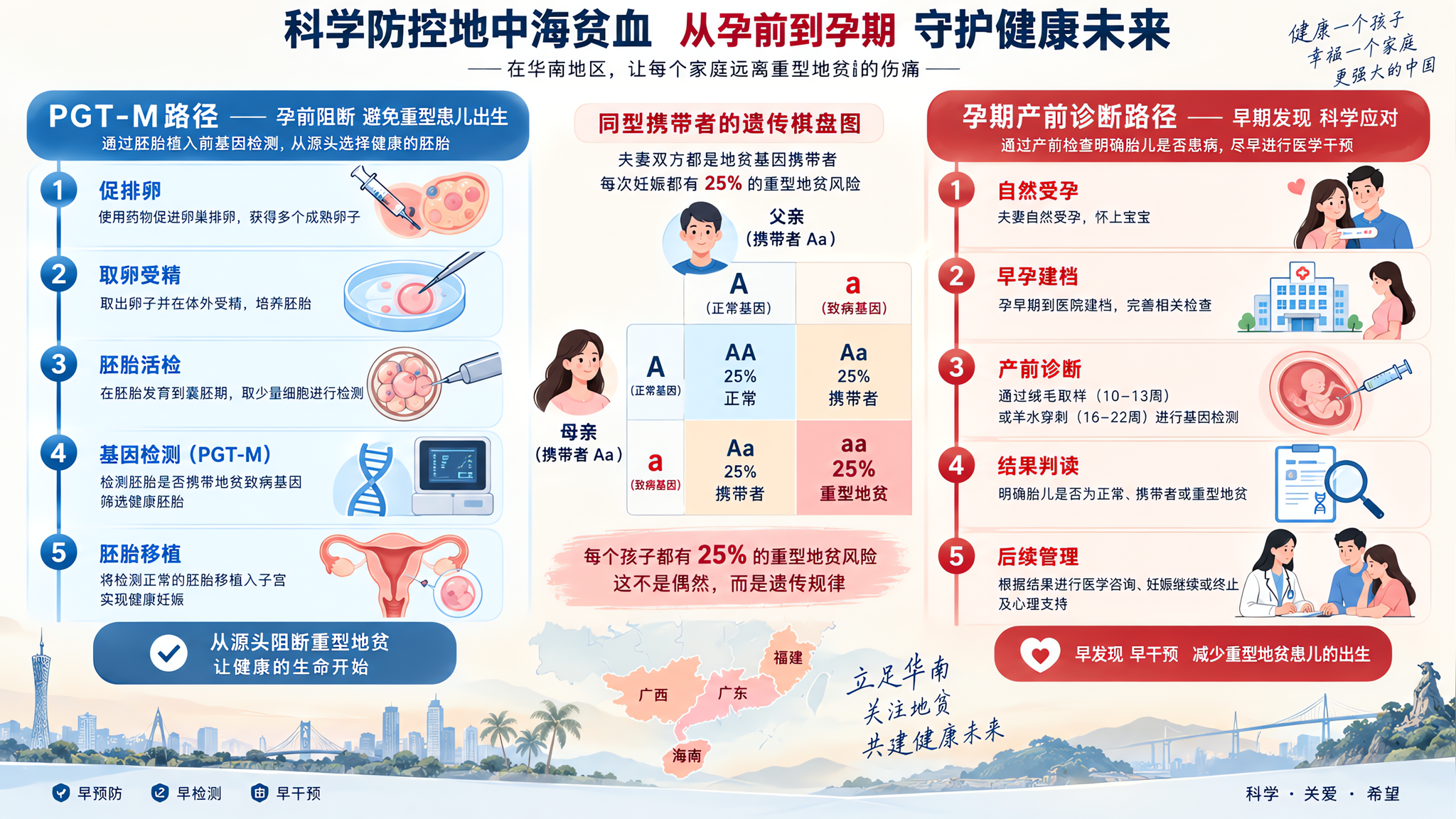 夫妻同为地贫携带者：25%重型风险怎么阻断