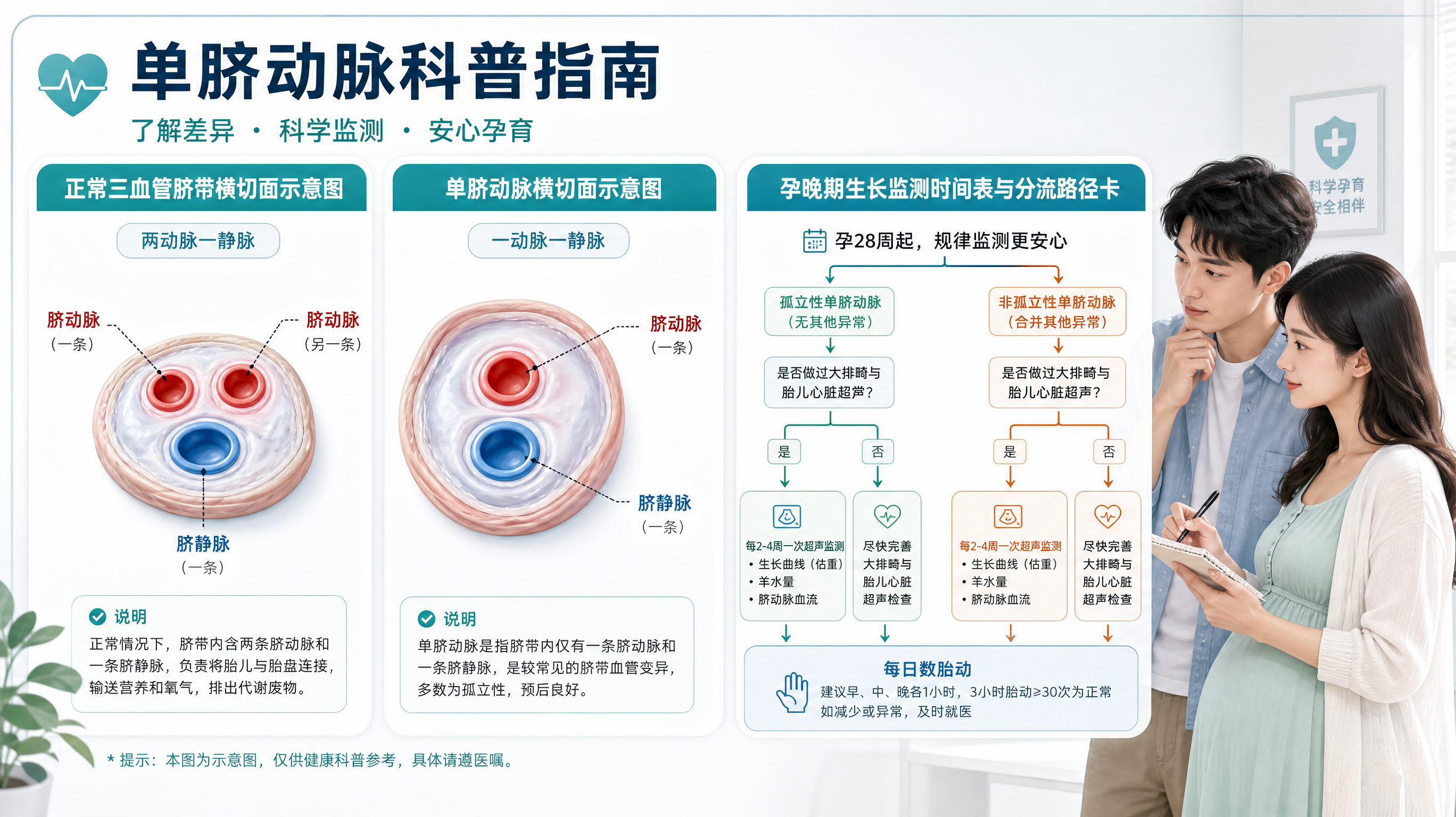 蓝绿医学插画风，画面分为三栏信息卡构图：左栏为“正常三血管脐带横切面示意图”（两动脉一静脉，用简洁标