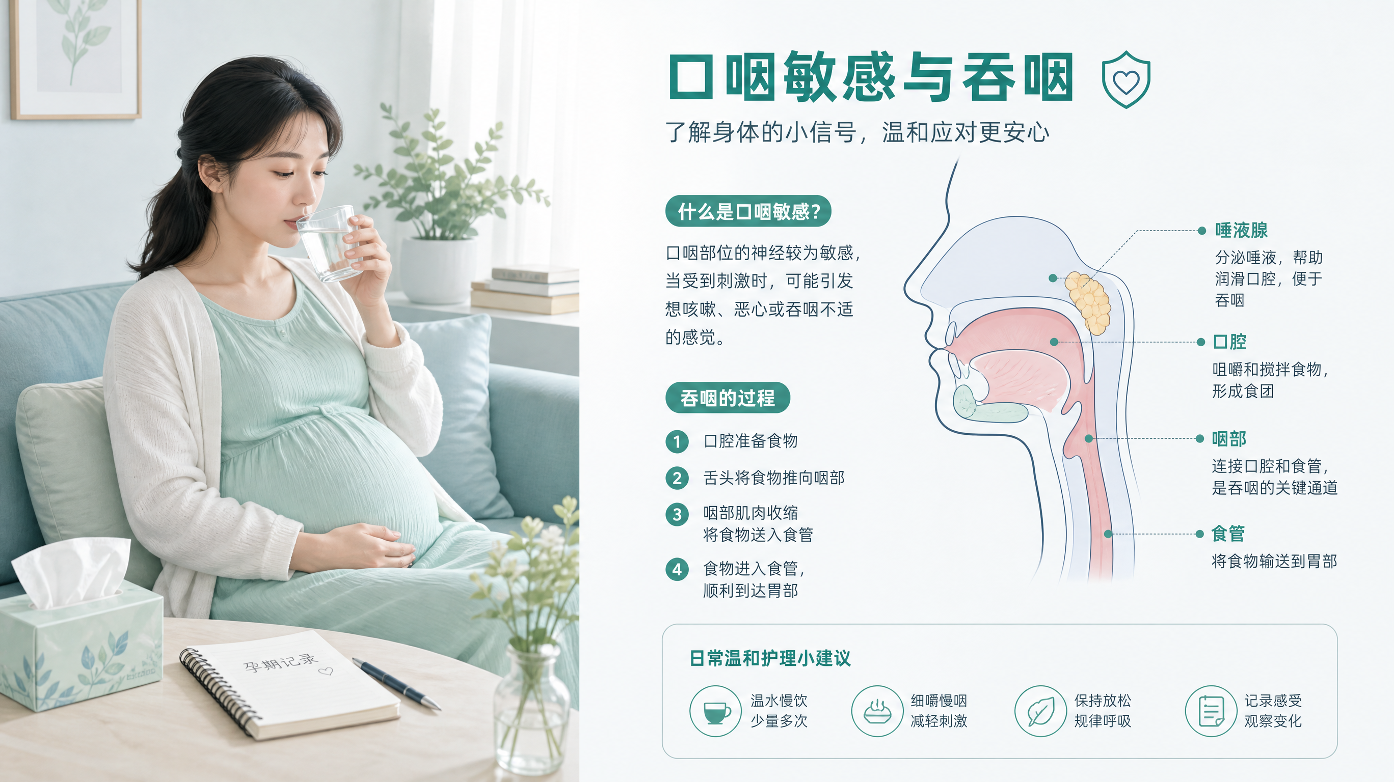 清爽医学科普插画风格，场景为中国家庭卧室或客厅的安静角落，一位中国年轻孕妇坐在沙发上，手里拿着温水杯