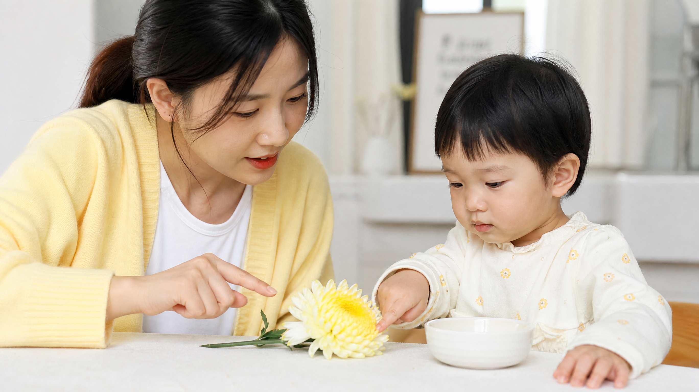 公园看到菊花就跑？一朵菊花带娃练观察和点数