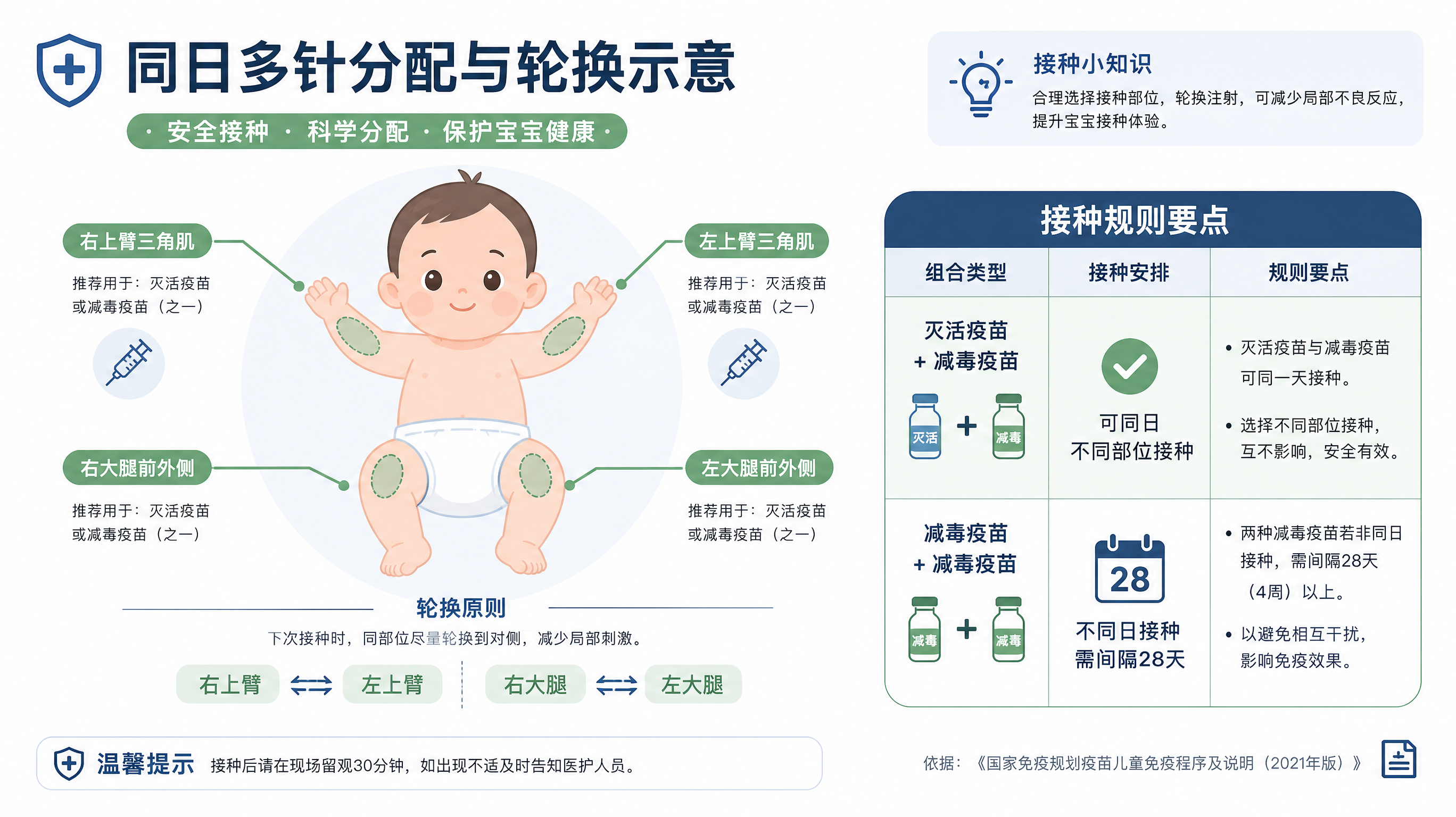 科普示意图场景，白色背景+硬核蓝灰与低饱和绿色配色，画面中心为中国婴儿下肢与上臂的简化示意图（仅示意