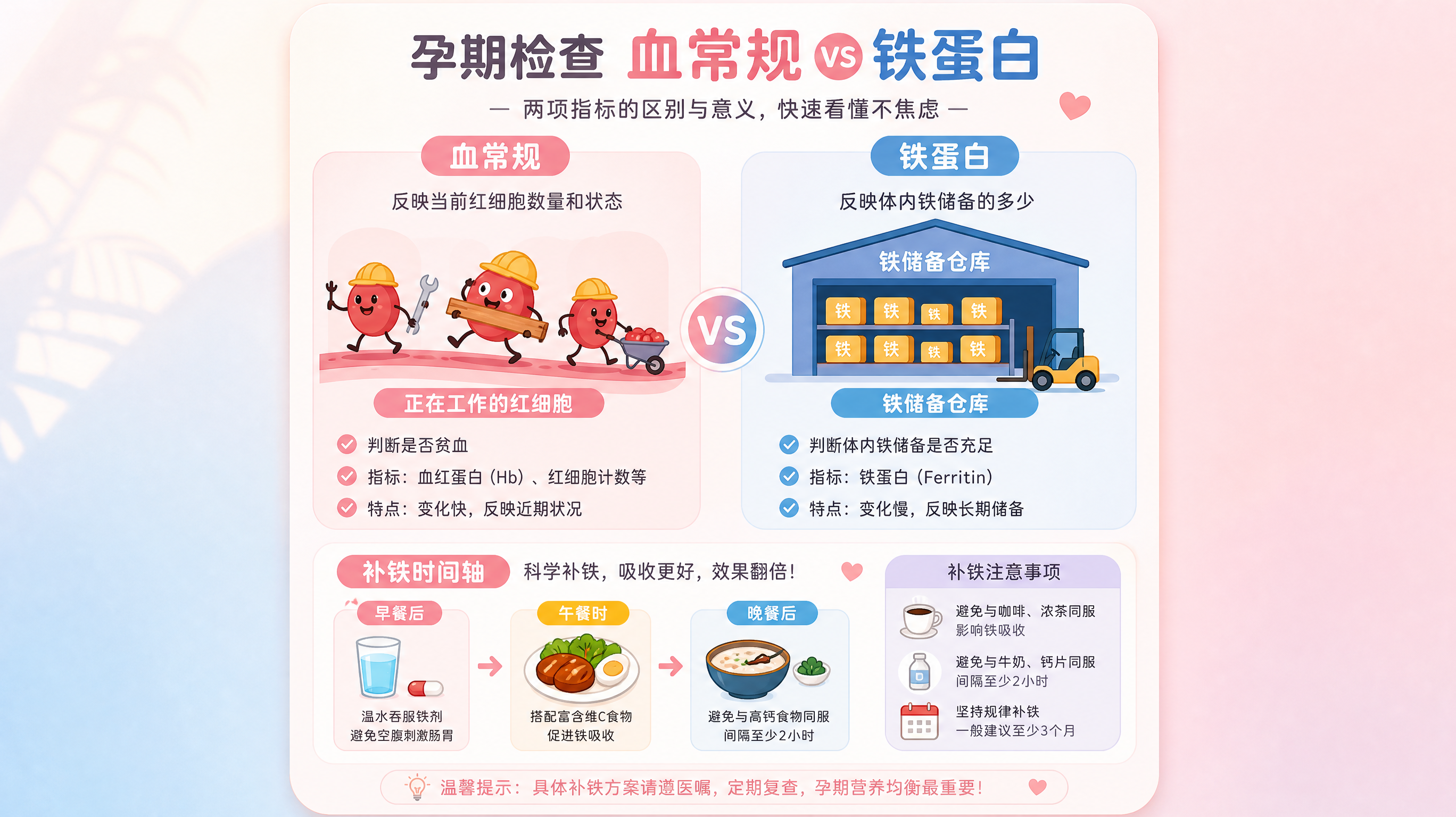 血常规没问题却要查铁蛋白？关键在“铁仓库”