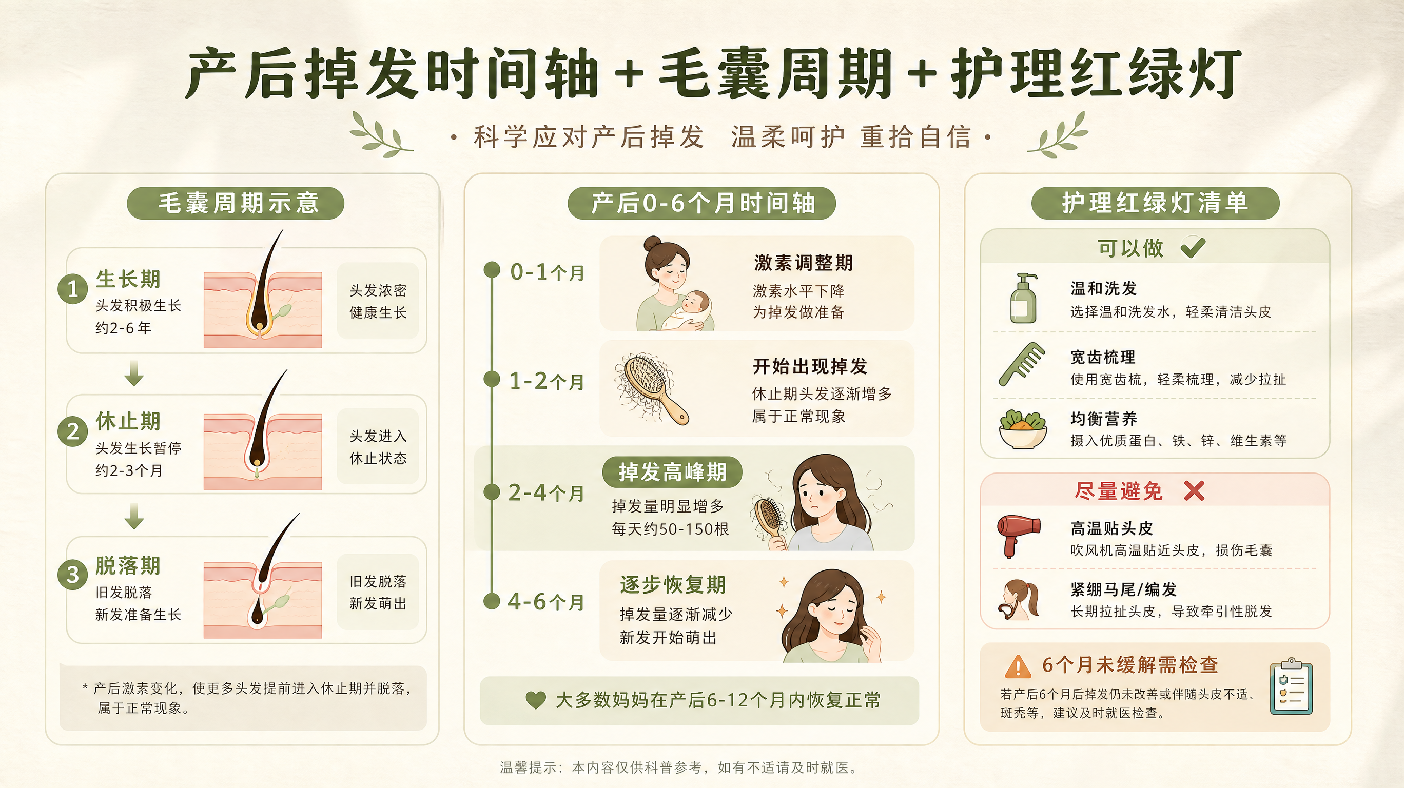 一张适合小红书科普的竖版信息图插画，主题为“产后掉发时间轴+毛囊周期+护理红绿灯”，画面包含三部分：