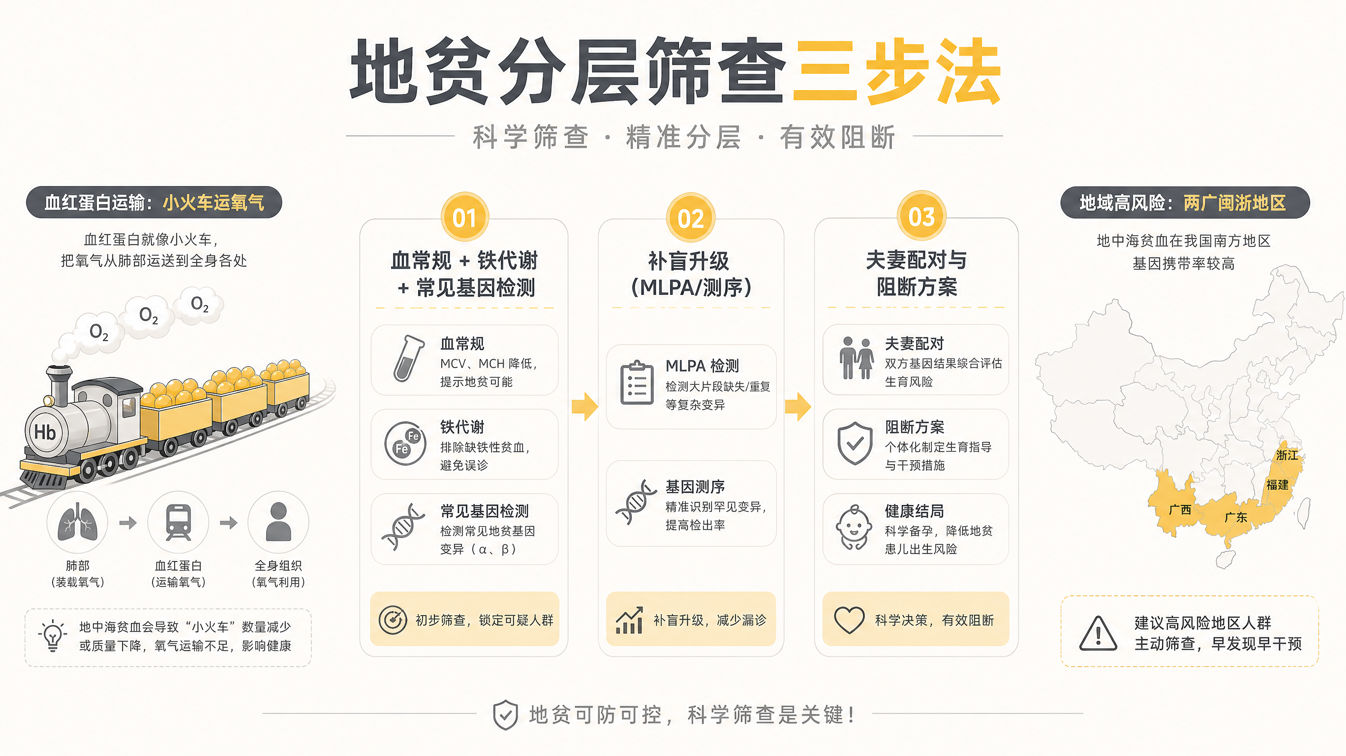血常规正常也别松口气：南方备孕要补做地贫基因筛查