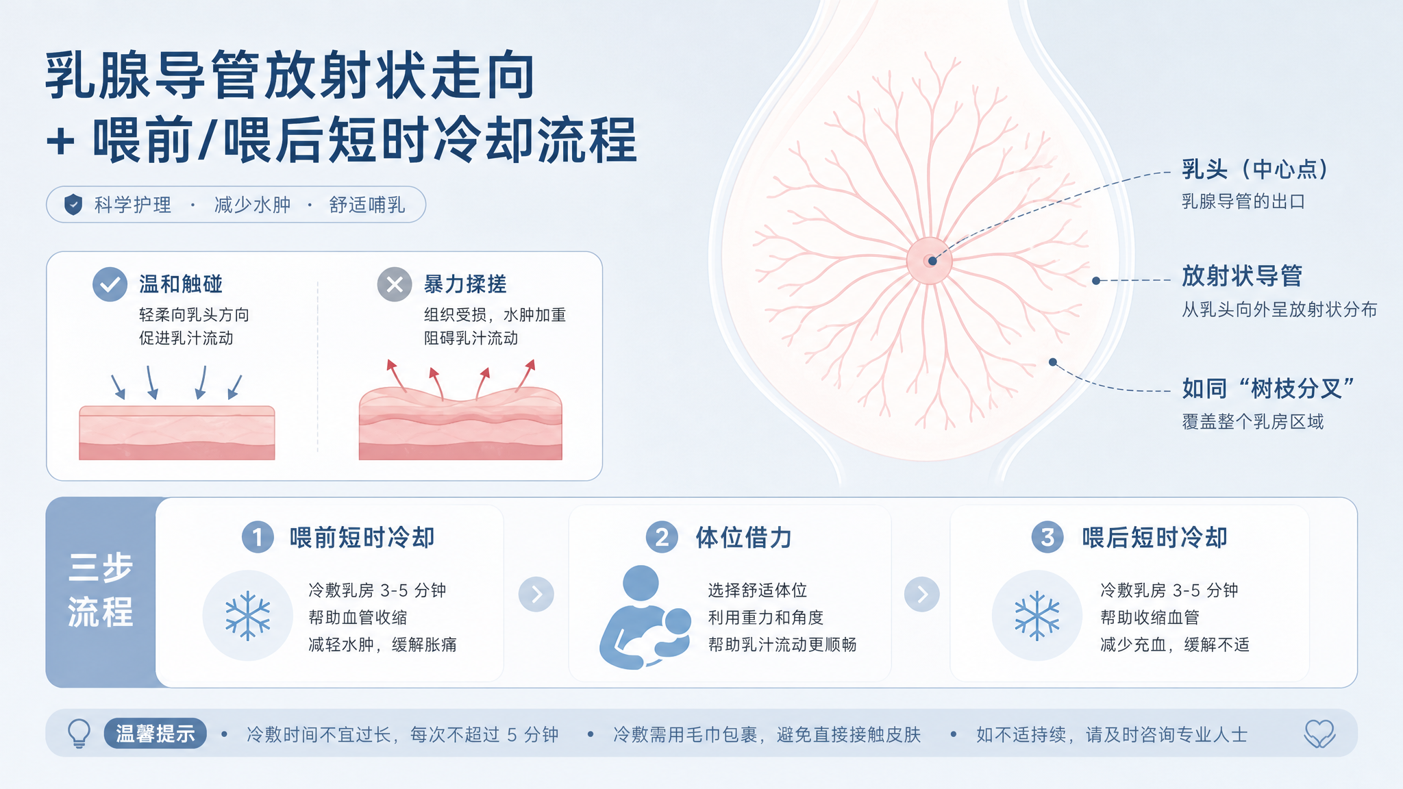 医用极简风信息图海报,主题为“乳腺导管放射状走向+喂前/喂后短时冷却流程”,画面包含:放射状乳腺导管