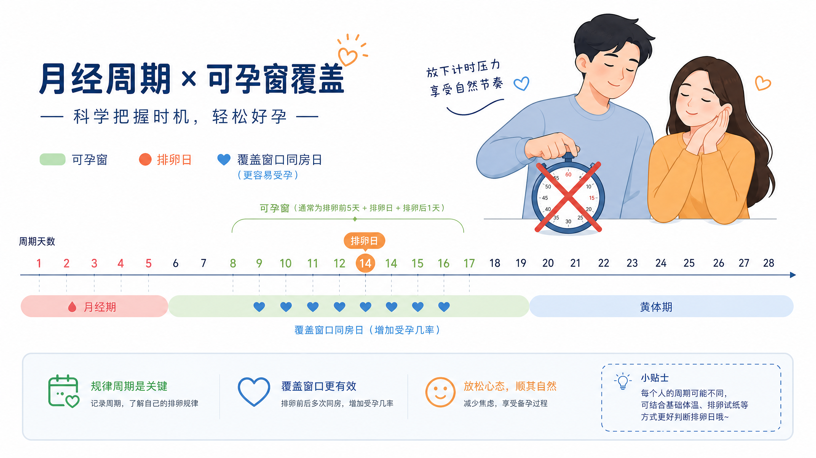 信息图风格插画,场景为简洁白底的时间轴科普海报,画面主体是一条“月经周期-可孕窗覆盖”的时间轴,上方