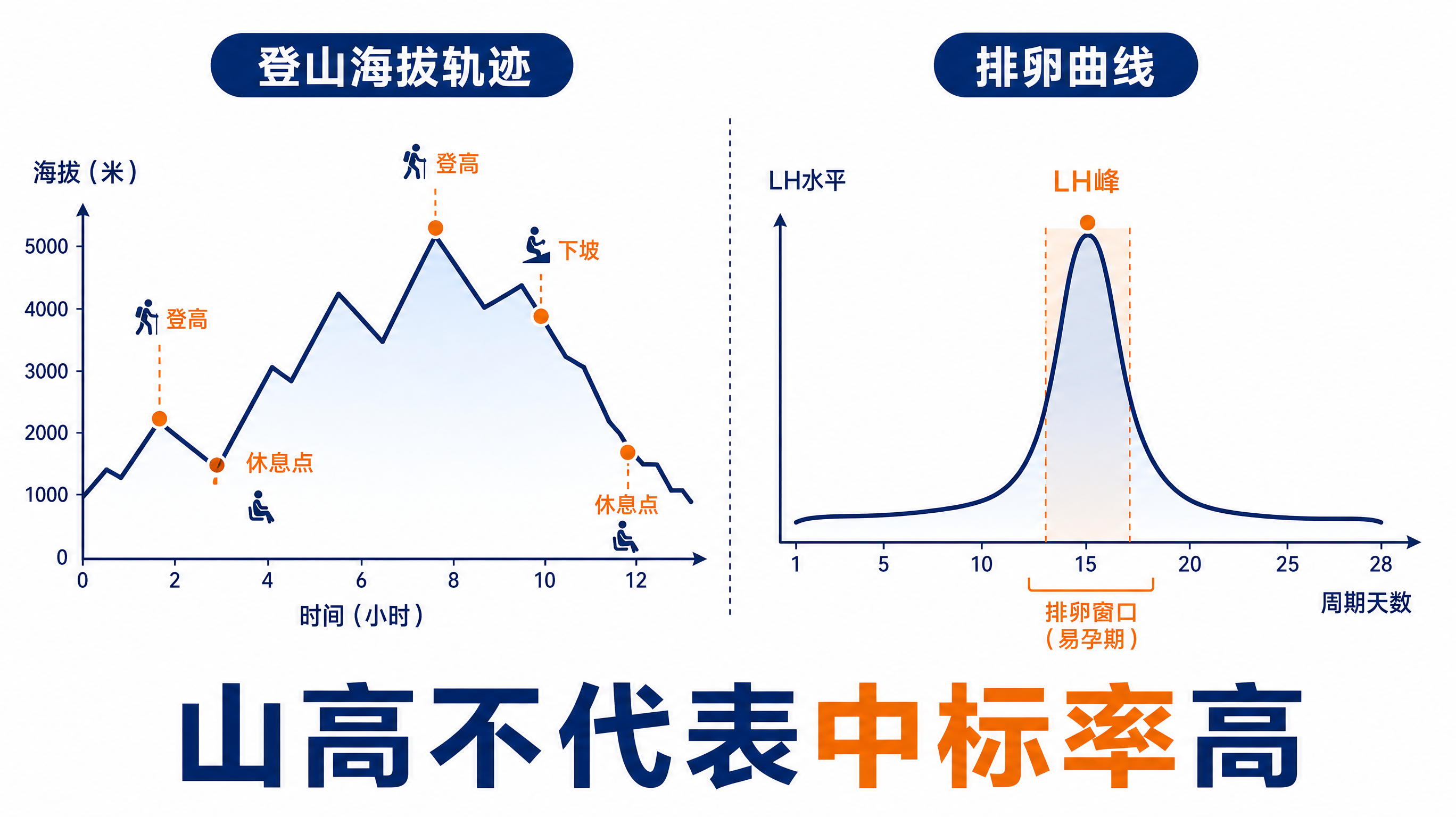 科普对比插画风格画面,白色干净背景,画面左右分栏对比:左侧是“登山海拔轨迹”折线图(起起伏伏,标注登