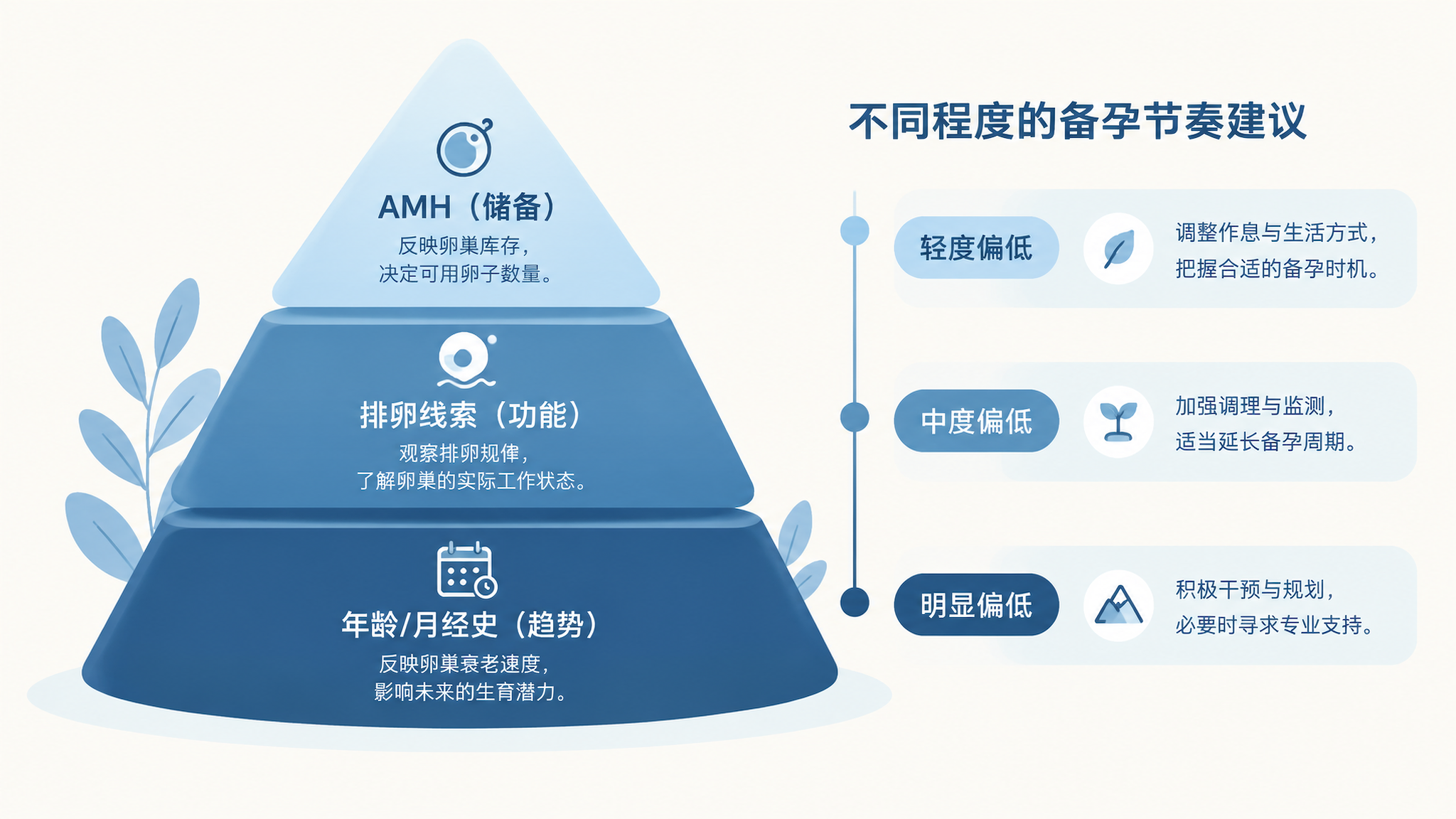 竖版信息图风格插画,奶白色背景搭配深蓝色主色调,画面中心是一座三层金字塔结构,分别标注“AMH(储备