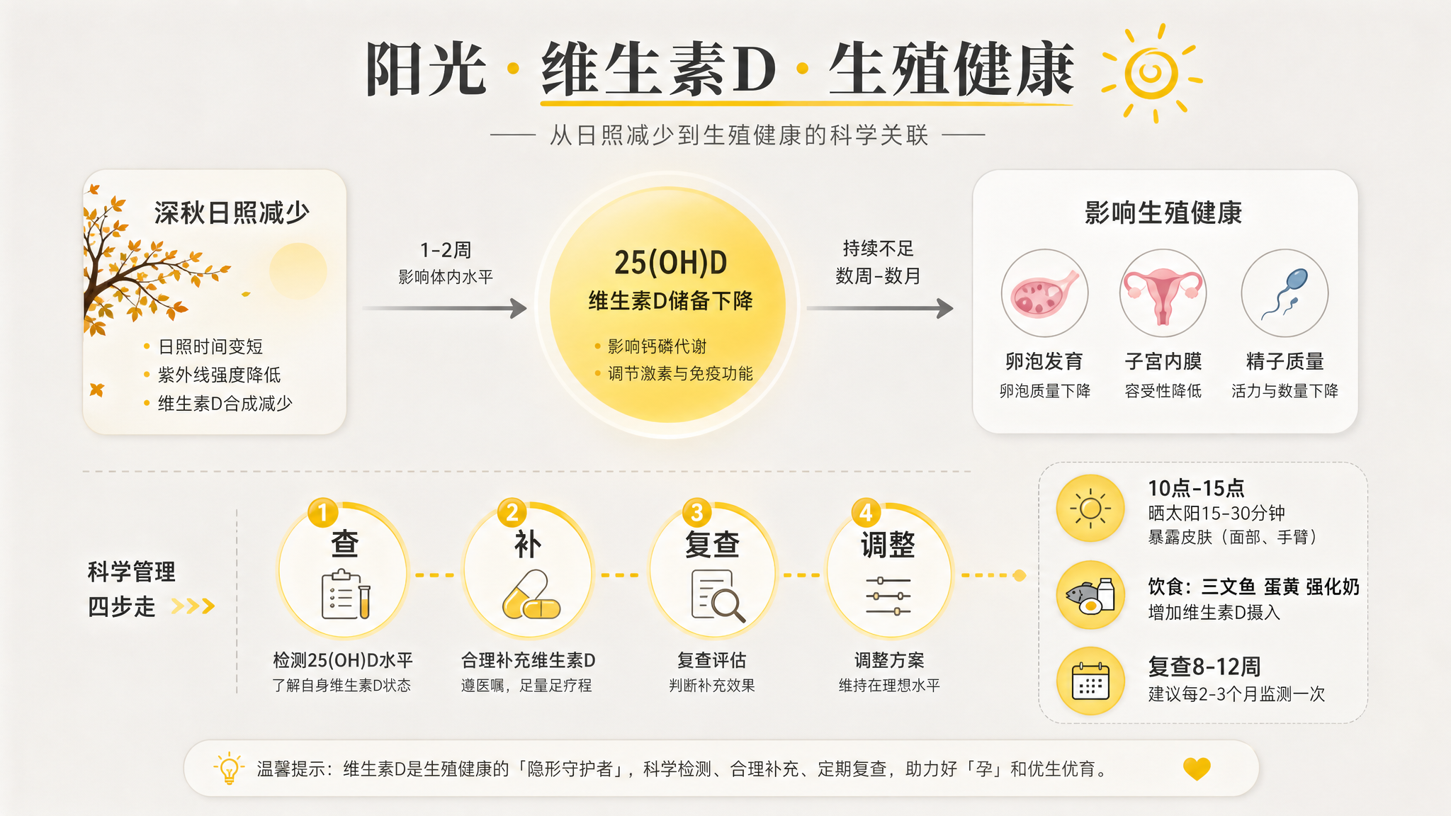 暖灰色背景的信息图长图场景，画面中心是一条从“深秋日照减少”到“25(OH)D”再到“卵泡发育/子宫