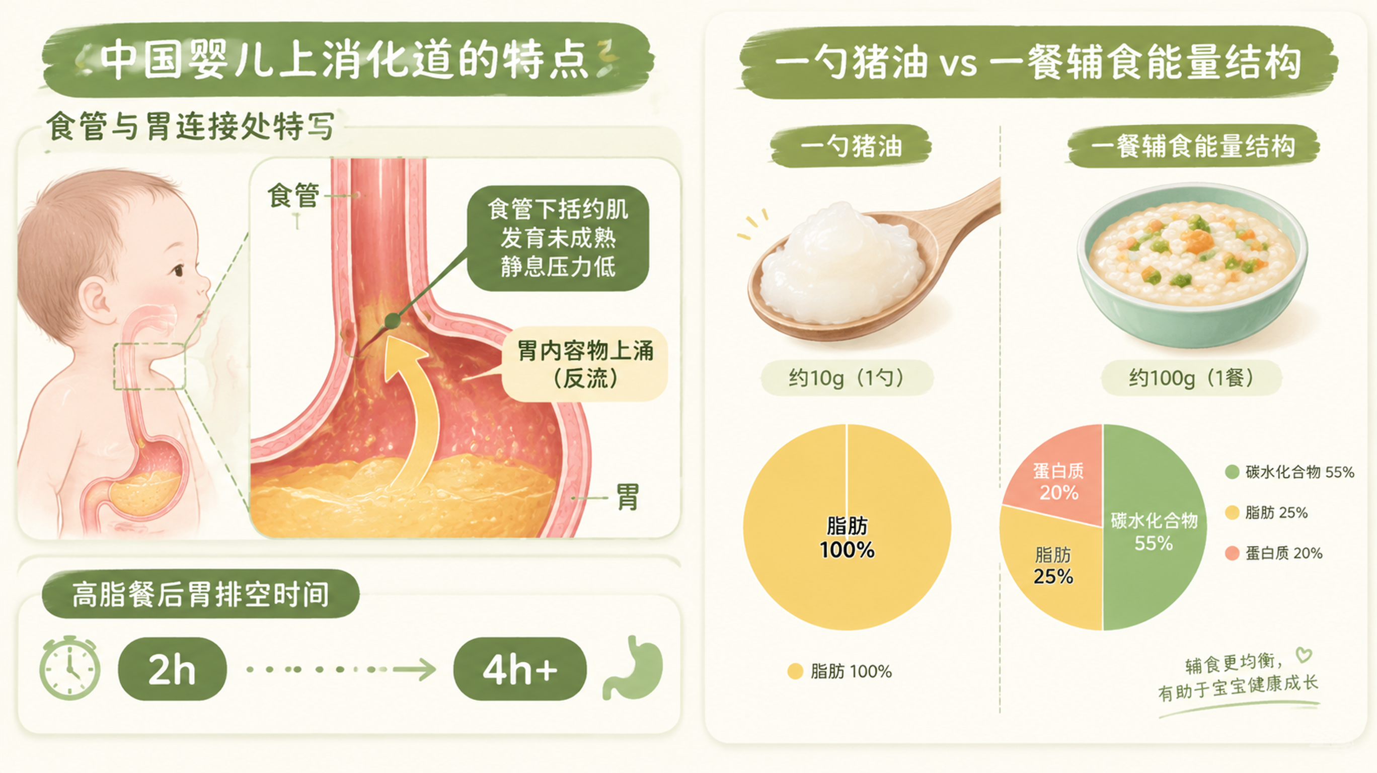 8个月娃夜里反流呛醒？可能就因为辅食多加了那一勺油