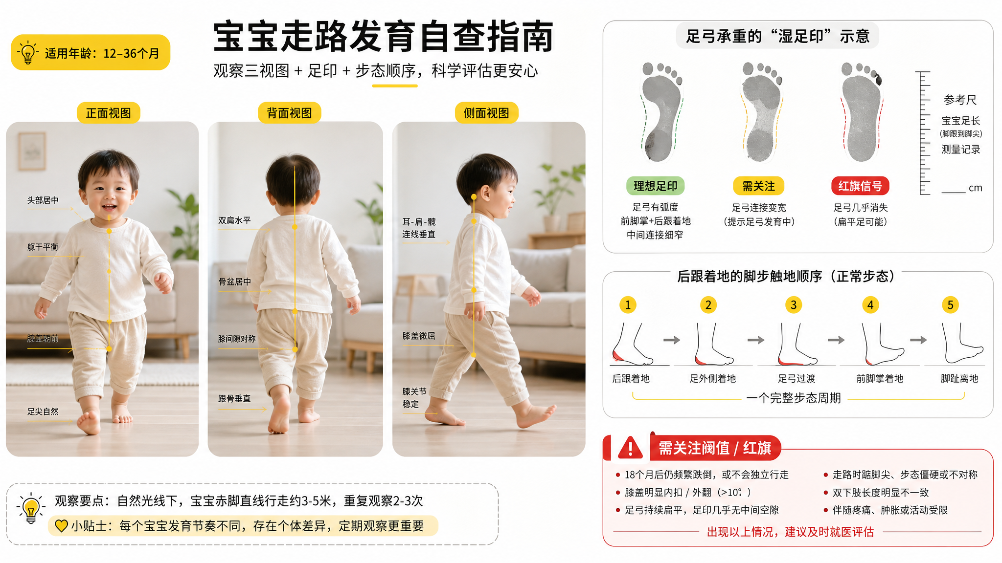 白底干净背景的科普配图,画面中心为一位中国幼儿(2-3岁)在家中客厅地面上行走的三视图拼图(正面/背