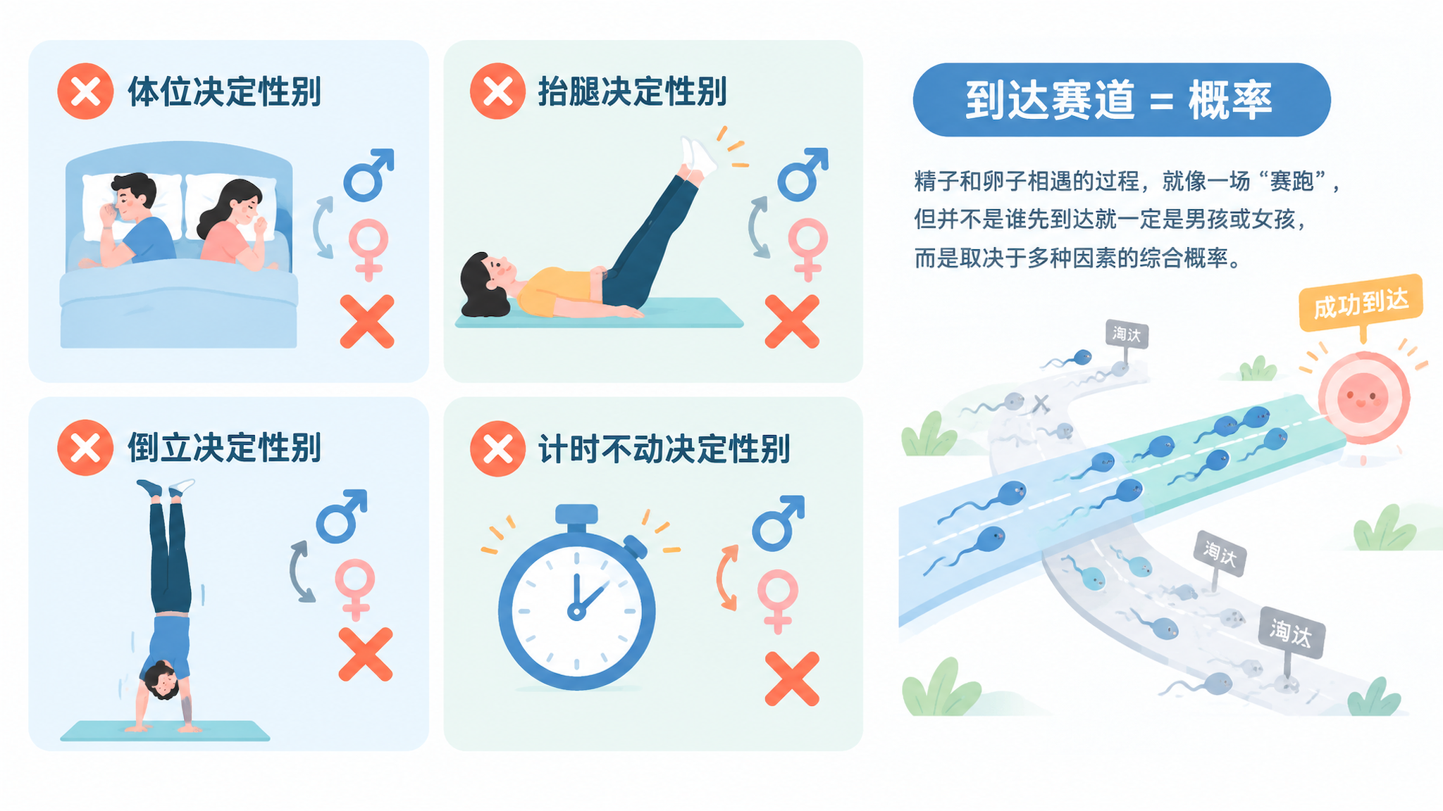 四宫格信息插画风格的科普配图，画面为干净浅色背景，核心主体是“四个被打叉的谣言”：同房姿势决定性别、抬腿