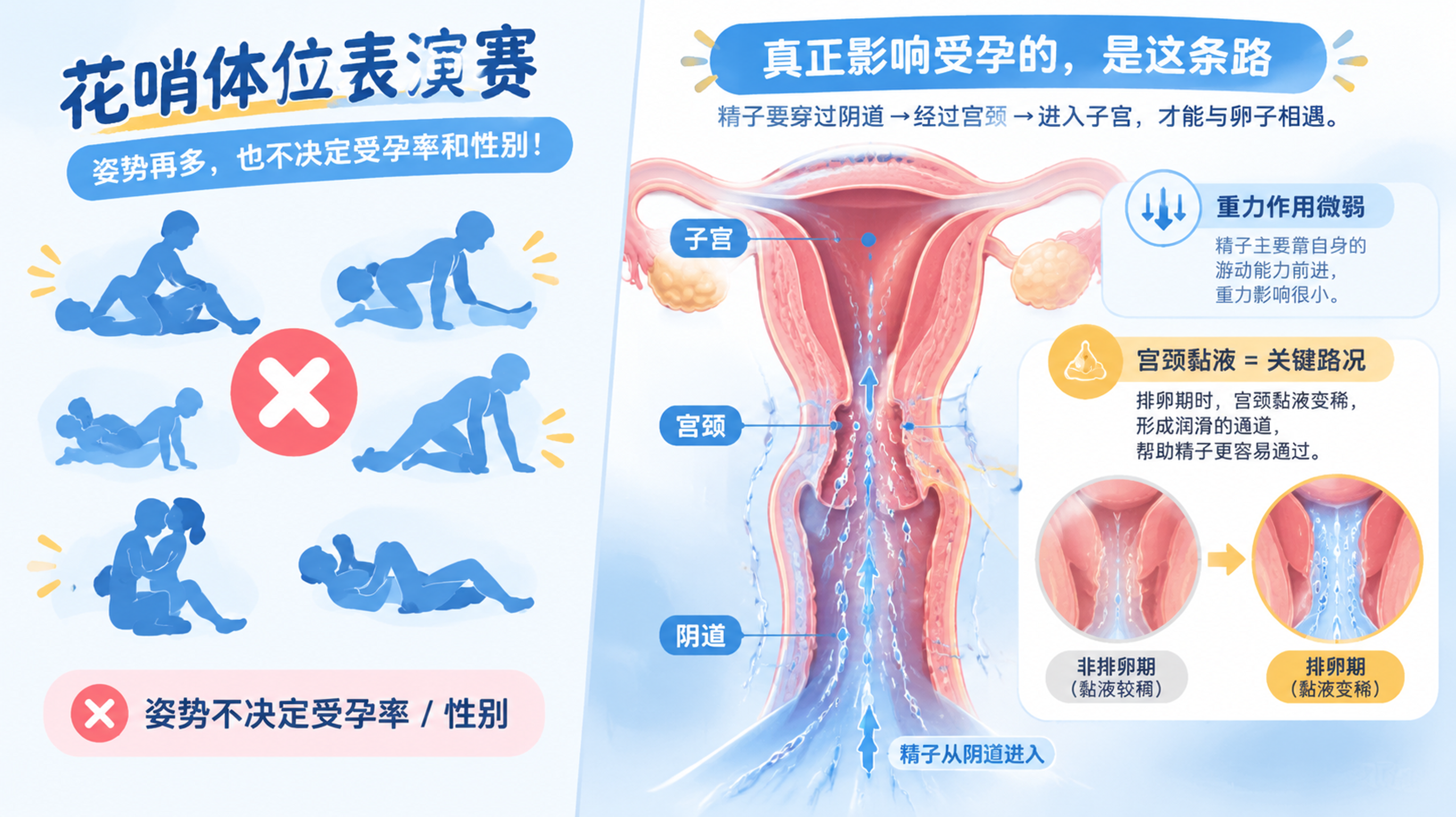 科普对比插画风格,画面左右分屏;左侧是“花哨姿势表演赛”的夸张剪影(仅用抽象姿势轮廓,不露骨不色情)