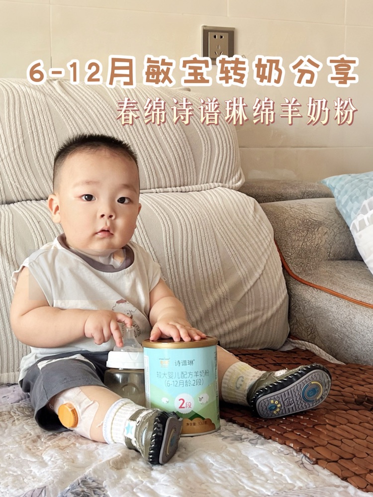 敏宝转奶上岸｜本命绵羊奶找到了
