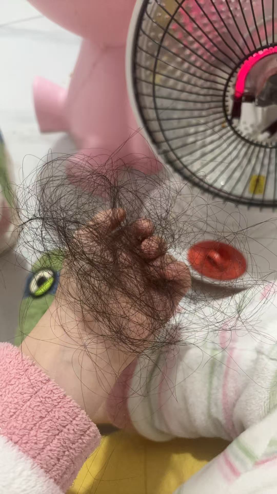 宝宝掉发期的烦恼