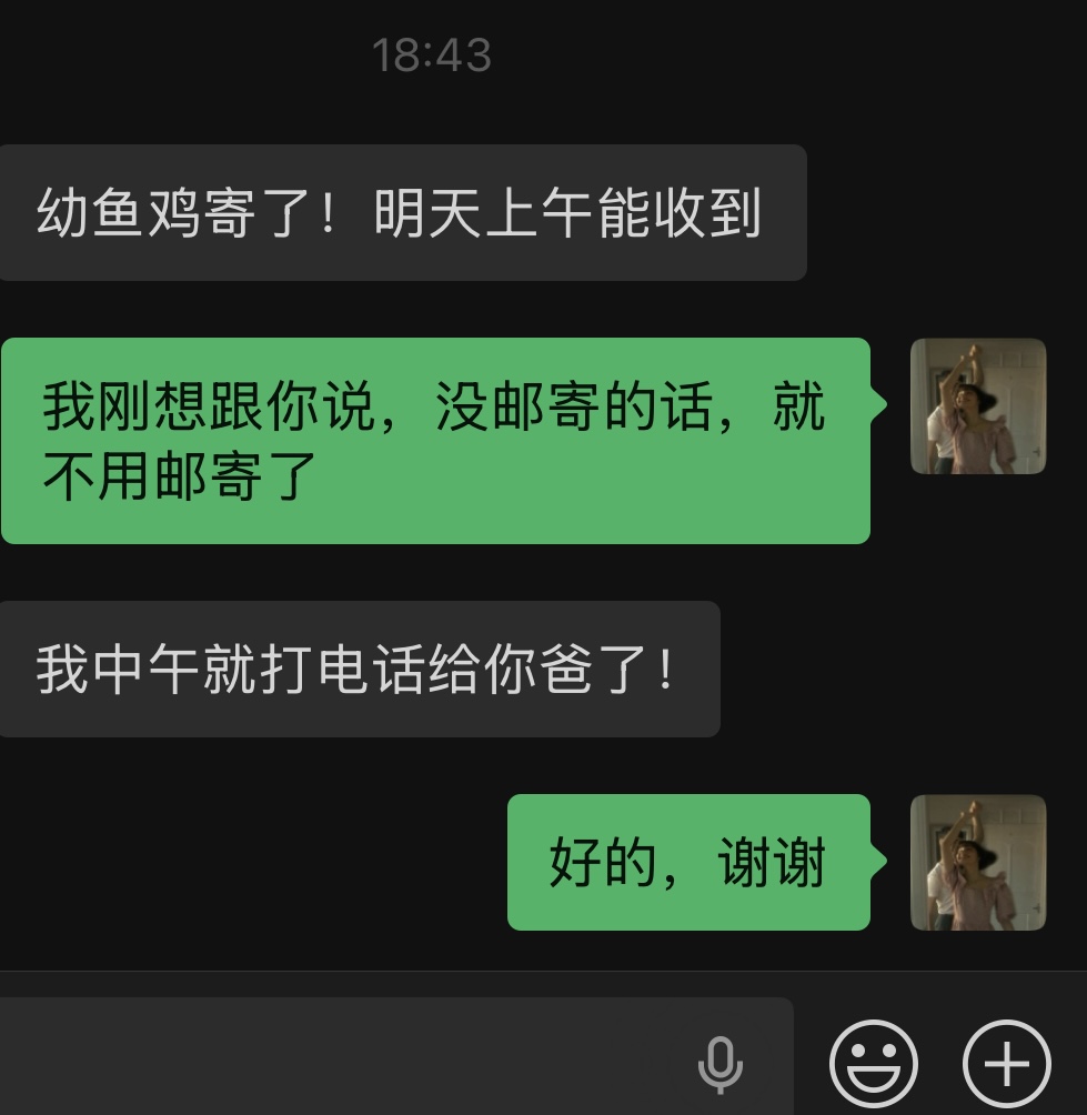 婆婆的小心思让我哭笑不得
